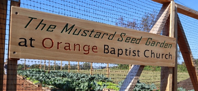 The Mustard Seed Garden at Orange Baptist Church